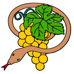 Grapes 29