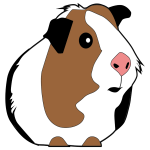 Guinea Pig Illustration