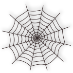 Vector illustration of spider web