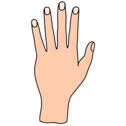 Hand 3