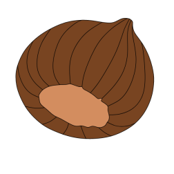 Hazelnut VII