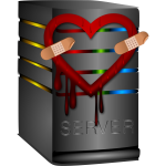 Vector graphics of heartbleed server