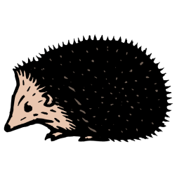 Hedgehog 4