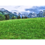 High Poly Alpine Meadow
