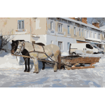 Horse drawn sleighs 2012 G1 2016121838