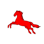 Horse 11