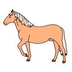 Horse 24