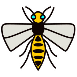 Insect XI