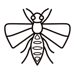 Insect X