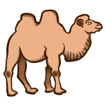 Cartoon vector image of a camel