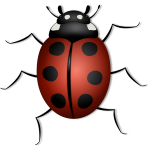 Ladybug vector illustration