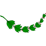 Laurel branch with red berries
