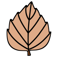 Leaf 10