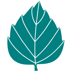 Leaf 11