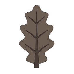 Leaf 14