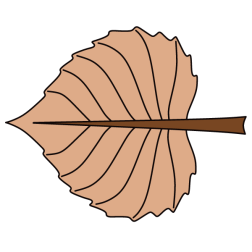 Leaf 8-1751367677