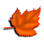 Autumn brown leaf vector image