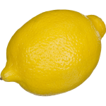 Lemon vector illustration