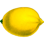 Yellow citrus