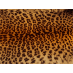 LeopardFur