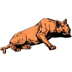 Lioness I