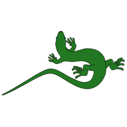 Lizard IX