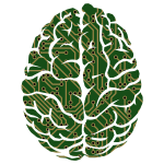 Machine Learning Brain