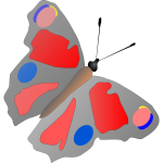 Colorful butterfly-1632069506