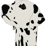 Dalmatian dog portrait vector image