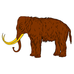 Mammoth IV