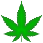 Marijuana Leaf Green