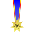 Star shaped military medal vector image