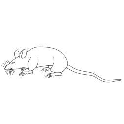 Mouse 10