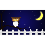Night Owl 2016110713