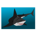 Non Friendly shark