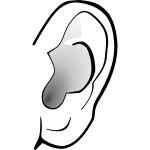 Grayscale image of ear