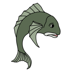 Old tired fish 2