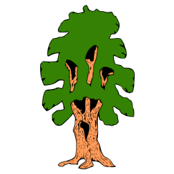 Old tree 1