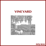 Romantic wineyard