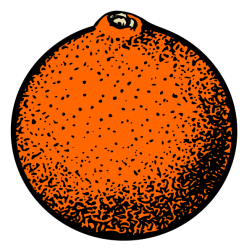 Orange 3
