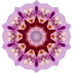 OrchidKaleidoscope6