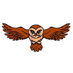 Owl III