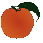 Peach vector image