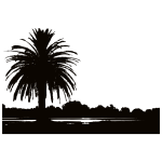 Palm Sunset Silhouette