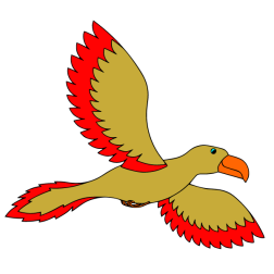 Parrot 1
