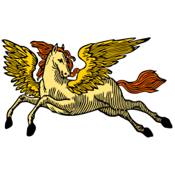 Pegasus XIII