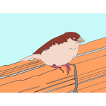 Passerine bird vector graphics