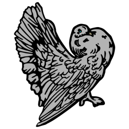 Pigeon II