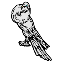 Pigeon I