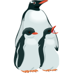 Architetto -- pinguino 3